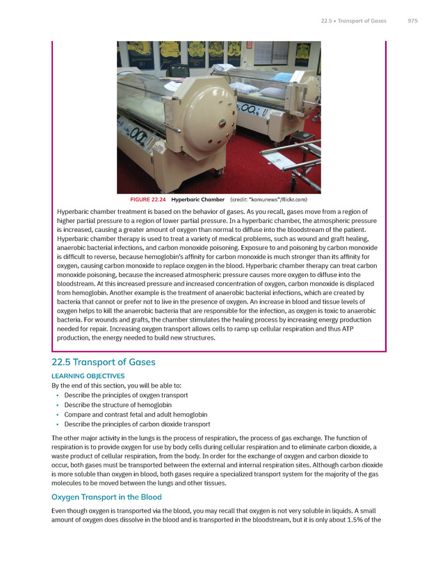 Anatomy and Physiology 2e - New Page
