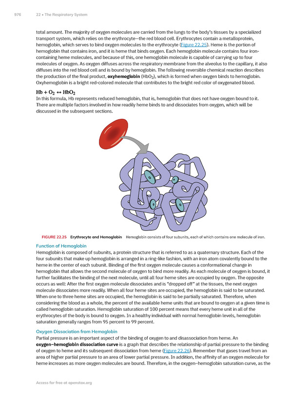 Anatomy and Physiology 2e - New Page