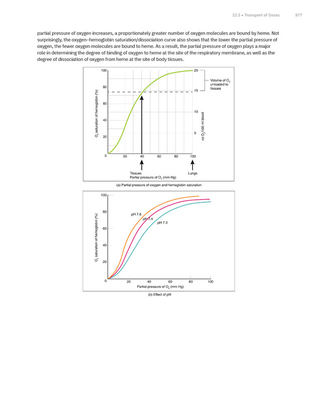 Anatomy and Physiology 2e - New Page