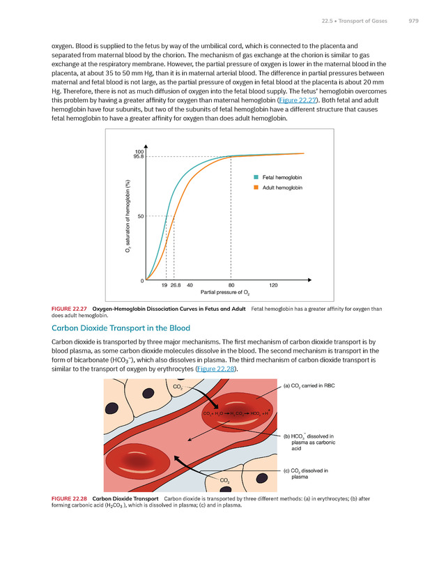 Anatomy and Physiology 2e - New Page