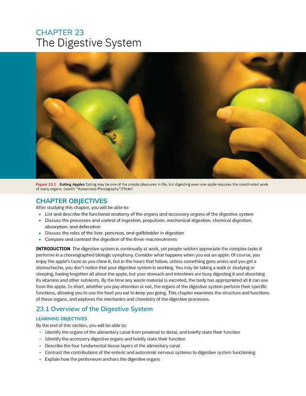 Anatomy and Physiology 2e - New Page