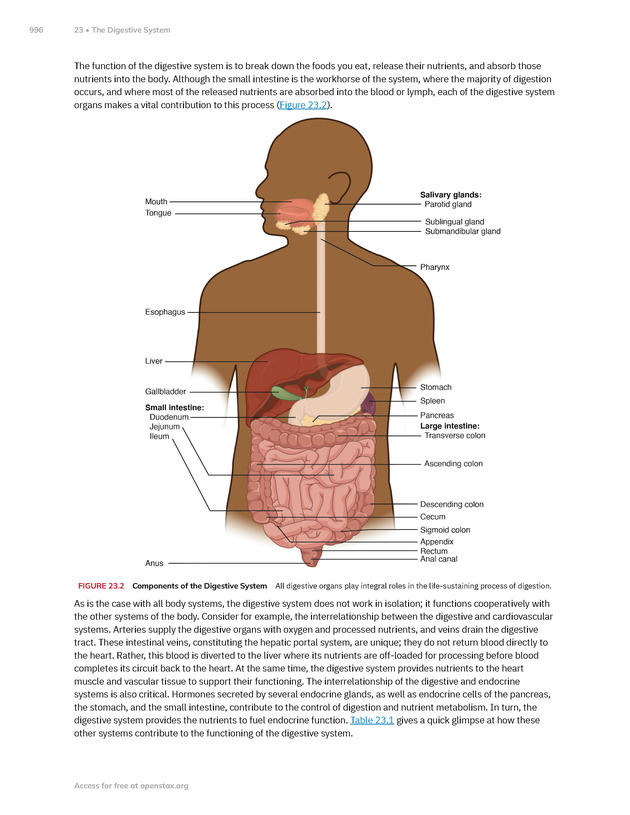 Anatomy and Physiology 2e - New Page