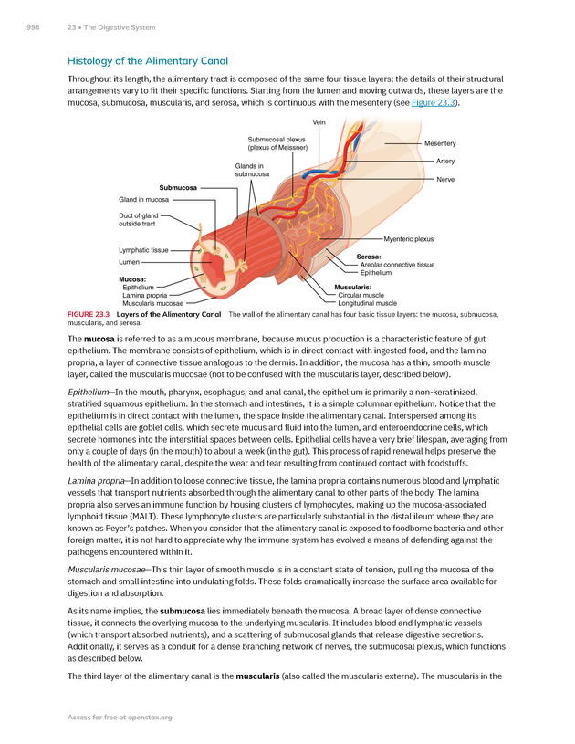 Anatomy and Physiology 2e - New Page