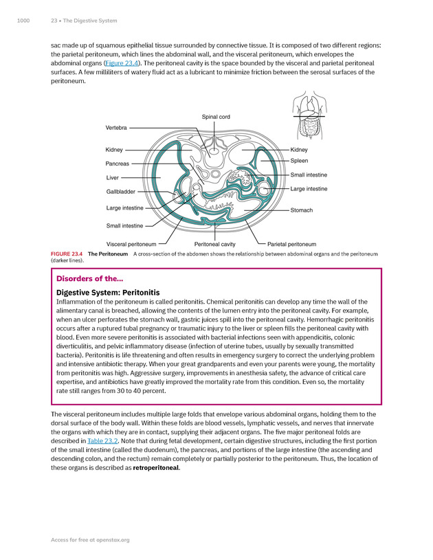 Anatomy and Physiology 2e - New Page