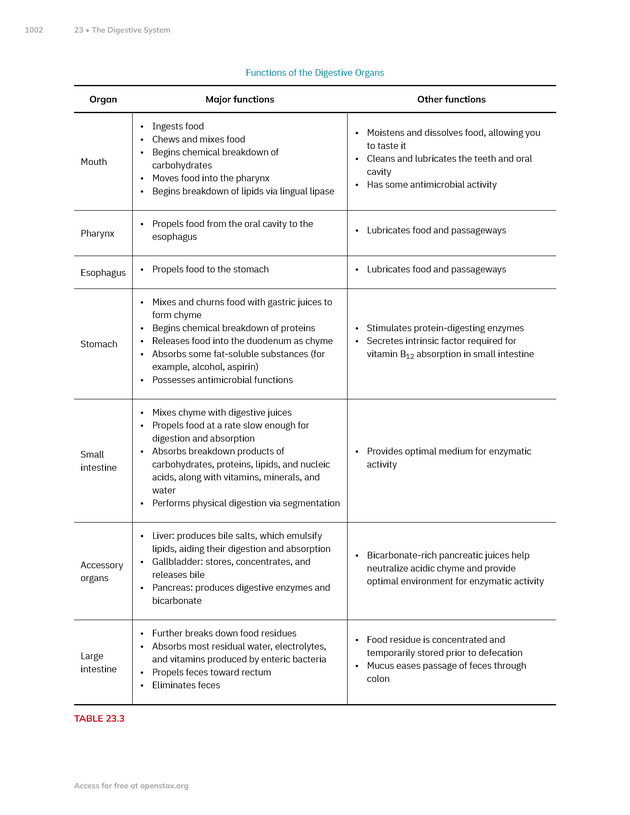 Anatomy and Physiology 2e - New Page