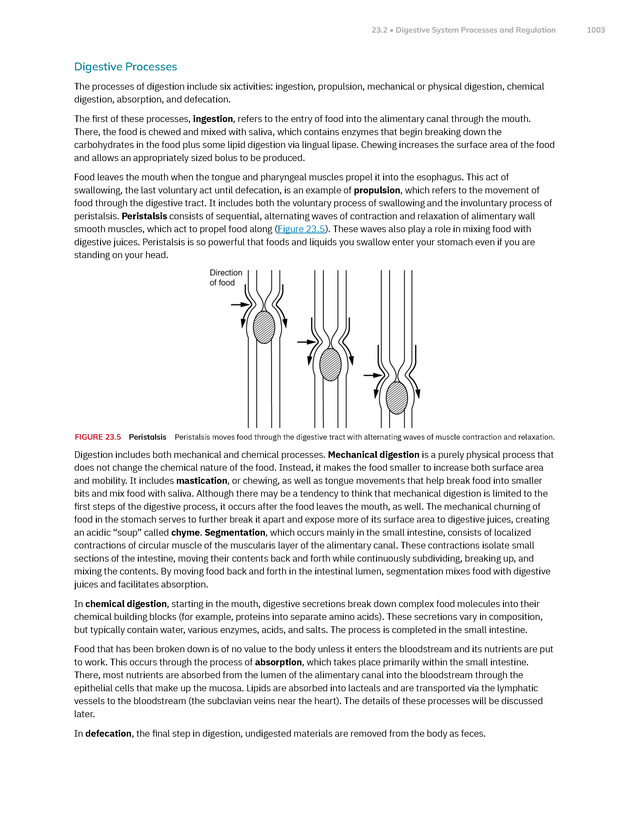 Anatomy and Physiology 2e - New Page