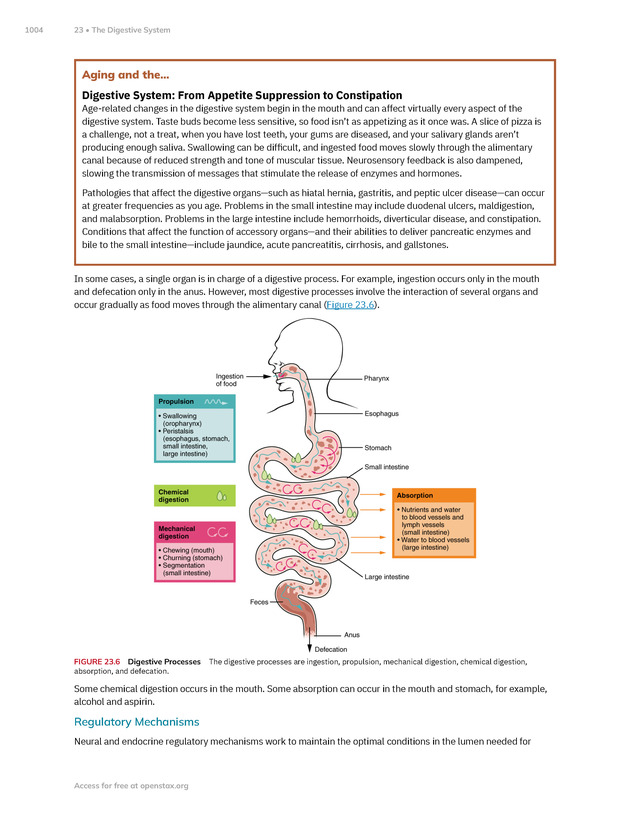 Anatomy and Physiology 2e - New Page