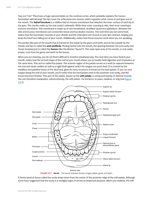 Anatomy and Physiology 2e - New Page