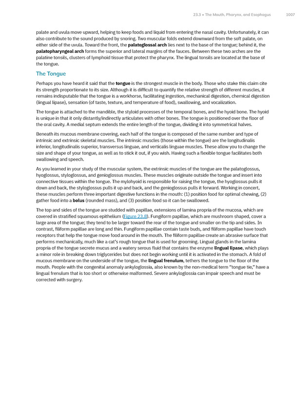 Anatomy and Physiology 2e - New Page