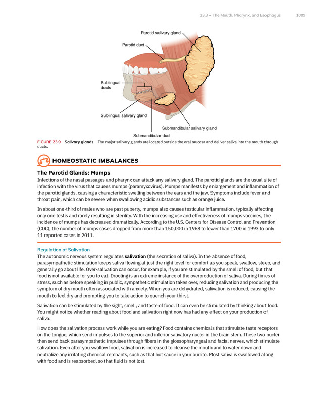 Anatomy and Physiology 2e - New Page