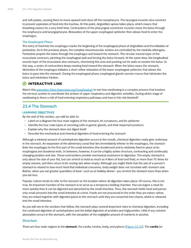 Anatomy and Physiology 2e - New Page