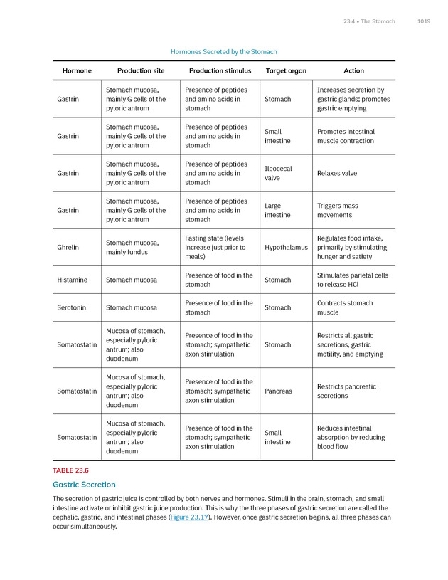 Anatomy and Physiology 2e - New Page