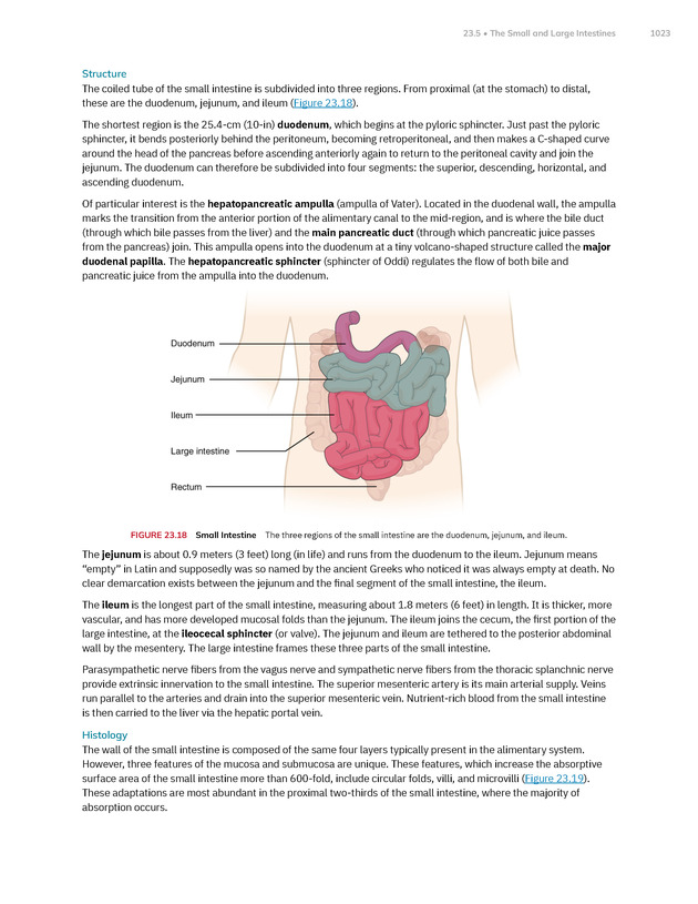 Anatomy and Physiology 2e - New Page