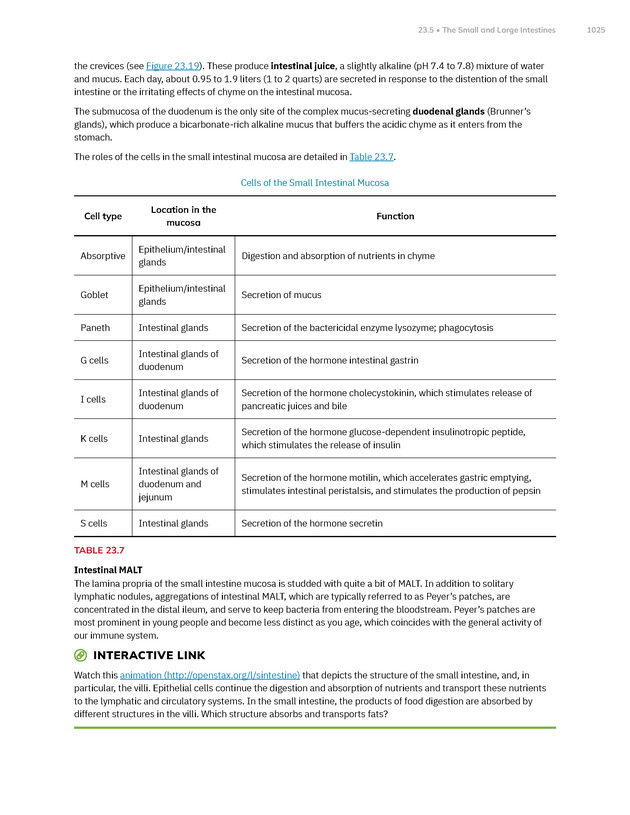 Anatomy and Physiology 2e - New Page
