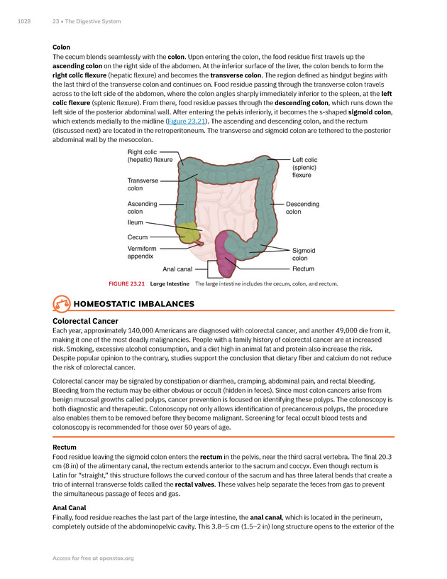 Anatomy and Physiology 2e - New Page