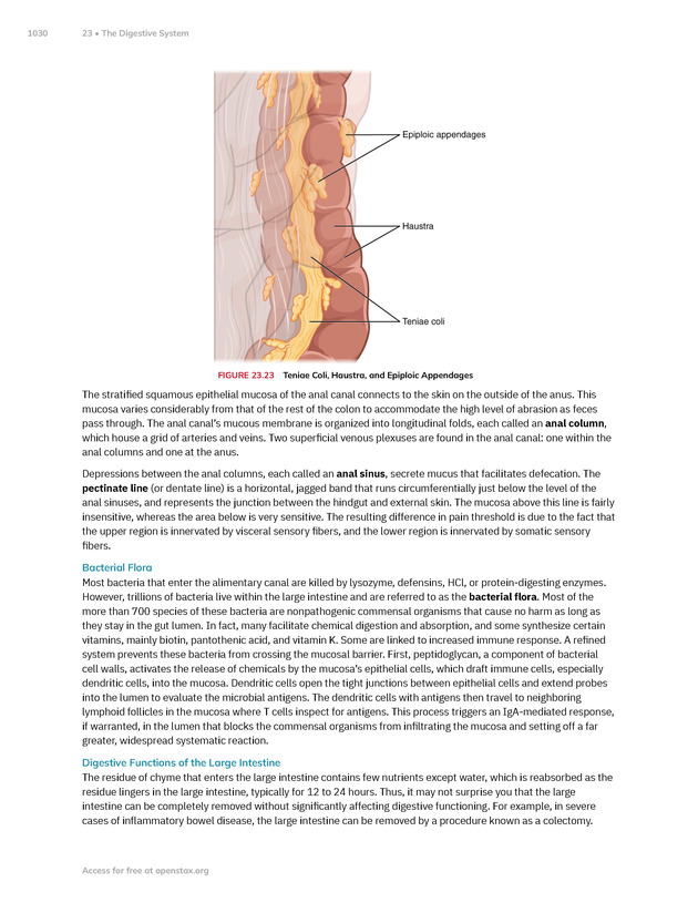 Anatomy and Physiology 2e - New Page