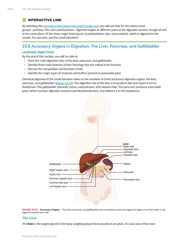 Anatomy and Physiology 2e - New Page