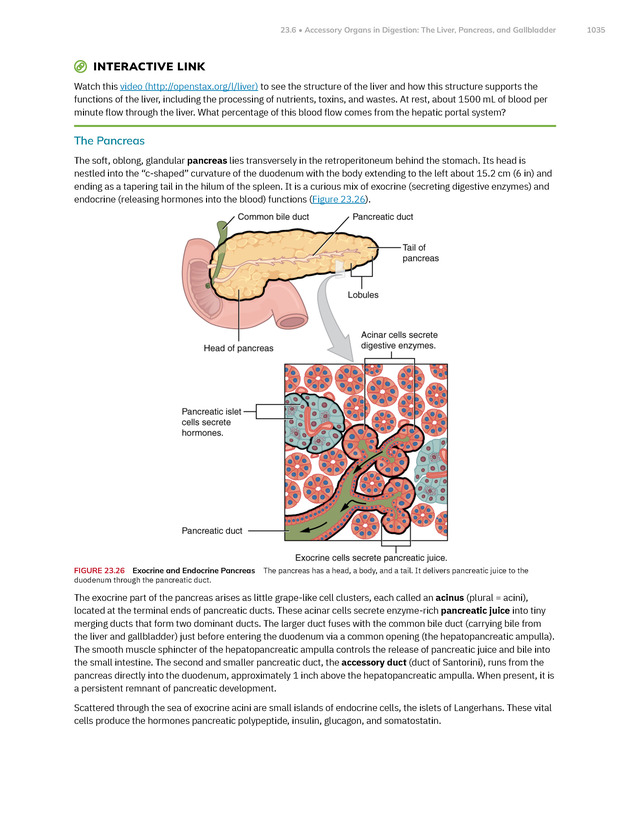 Anatomy and Physiology 2e - New Page