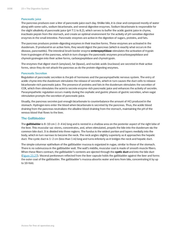 Anatomy and Physiology 2e - New Page