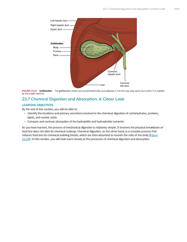 Anatomy and Physiology 2e - New Page