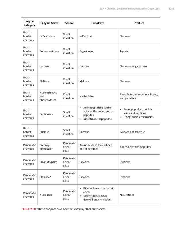Anatomy and Physiology 2e - New Page