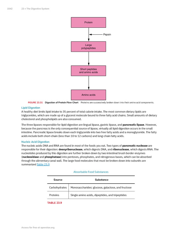 Anatomy and Physiology 2e - New Page