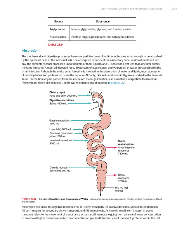 Anatomy and Physiology 2e - New Page