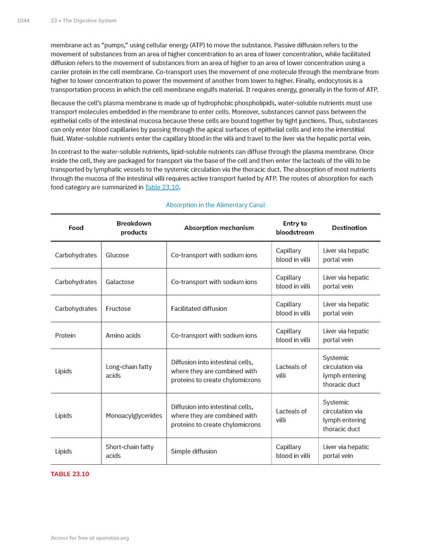 Anatomy and Physiology 2e - New Page
