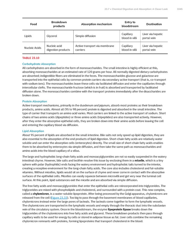 Anatomy and Physiology 2e - New Page