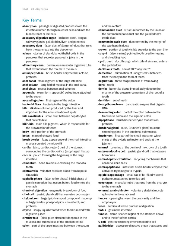 Anatomy and Physiology 2e - New Page