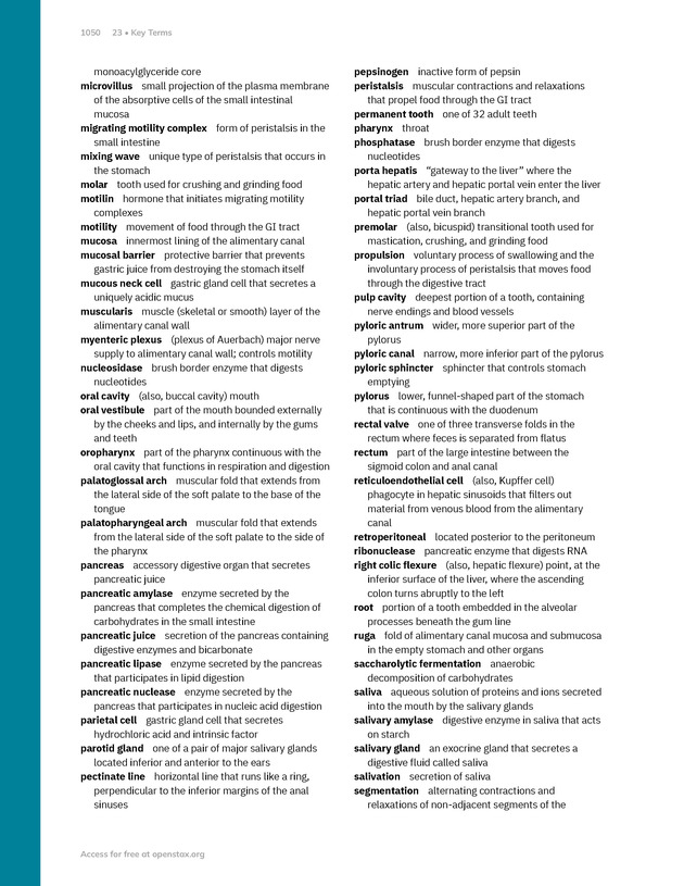 Anatomy and Physiology 2e - New Page