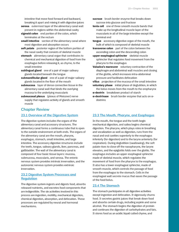 Anatomy and Physiology 2e - New Page
