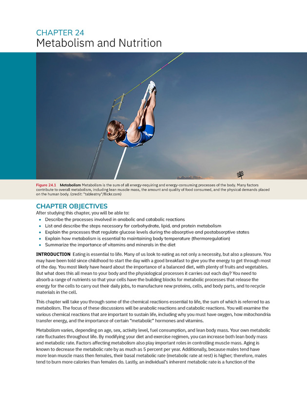 Anatomy and Physiology 2e - New Page