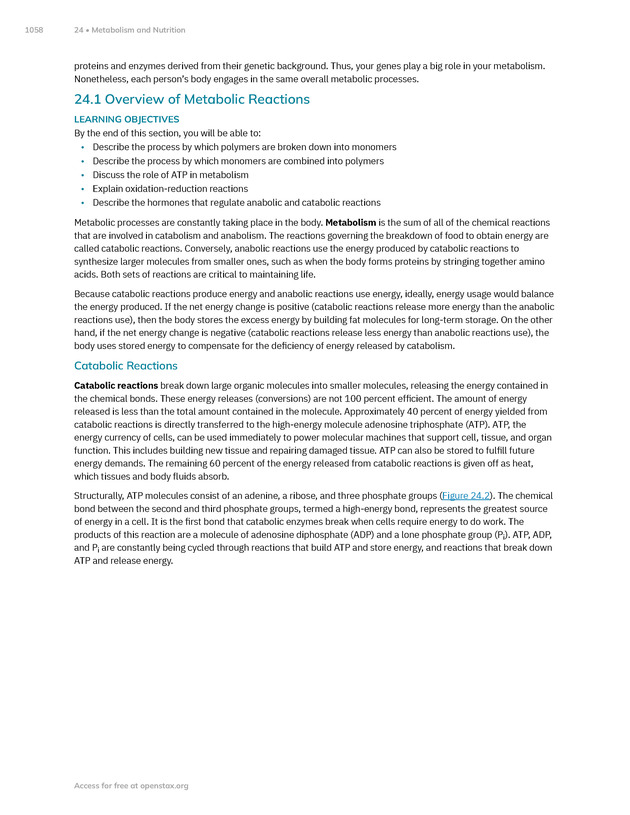 Anatomy and Physiology 2e - New Page