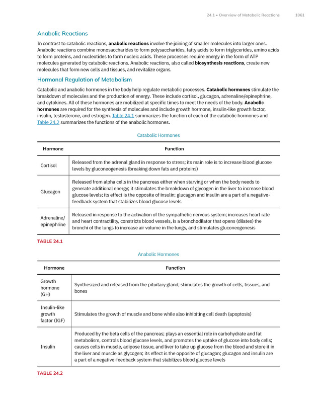 Anatomy and Physiology 2e - New Page