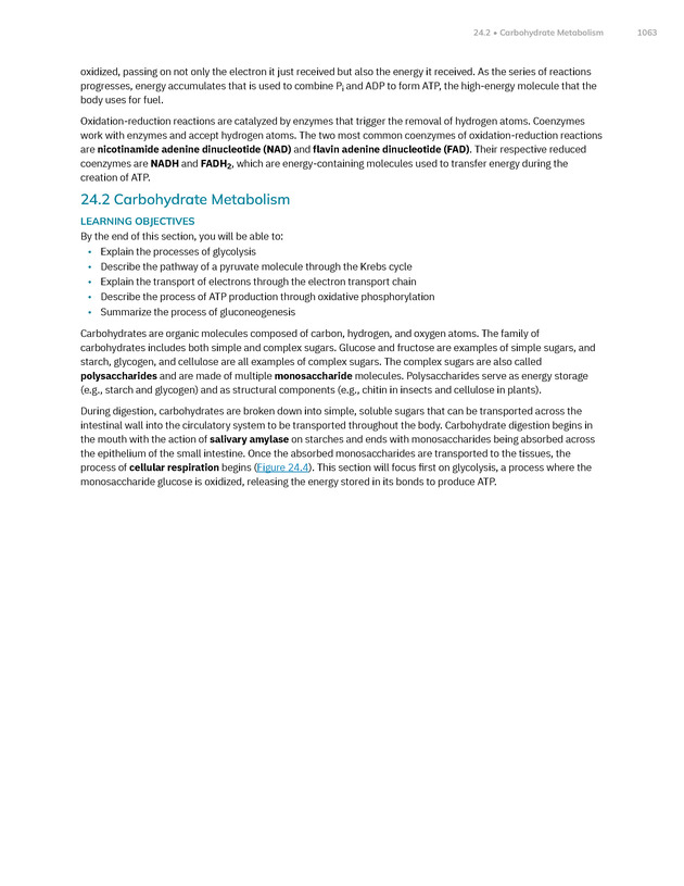 Anatomy and Physiology 2e - New Page