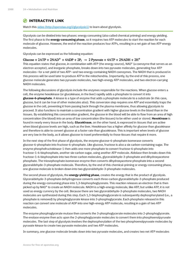 Anatomy and Physiology 2e - New Page