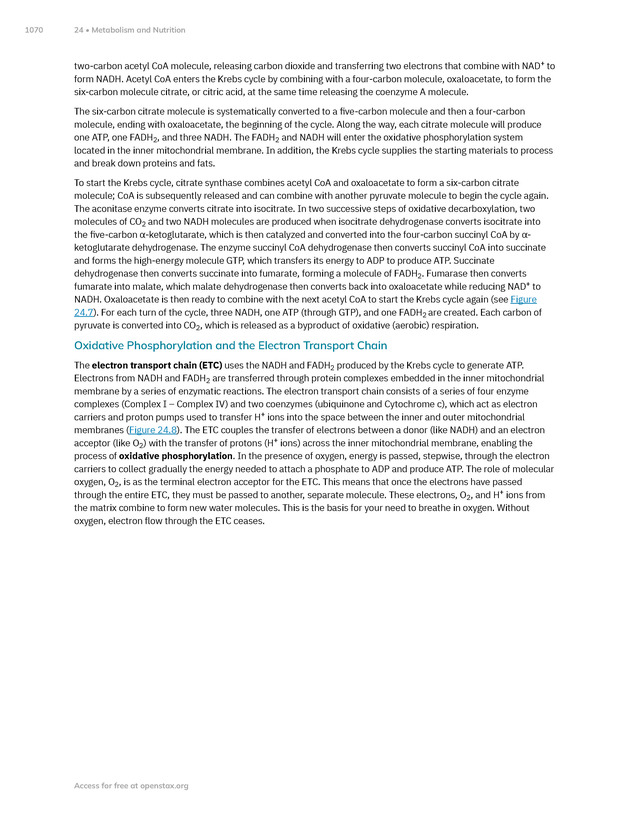 Anatomy and Physiology 2e - New Page