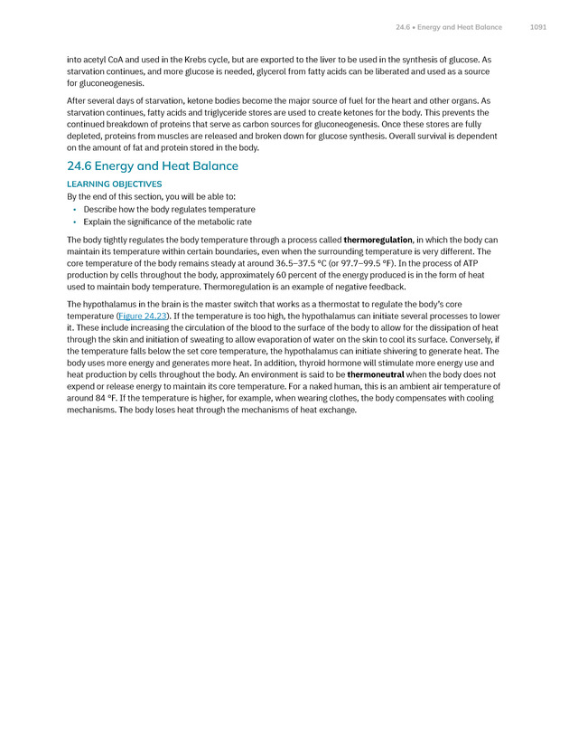 Anatomy and Physiology 2e - New Page