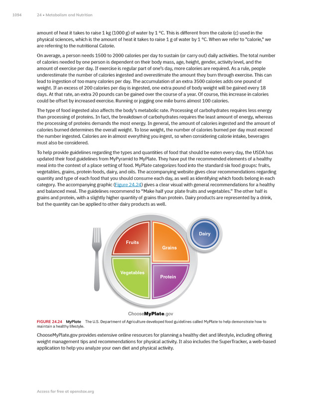 Anatomy and Physiology 2e - New Page