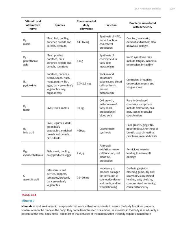 Anatomy and Physiology 2e - New Page