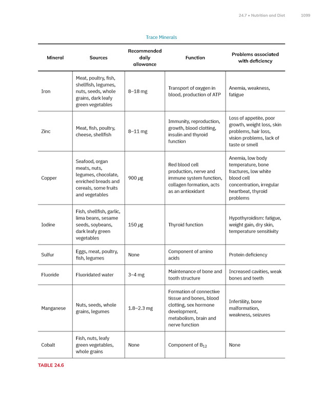 Anatomy and Physiology 2e - New Page