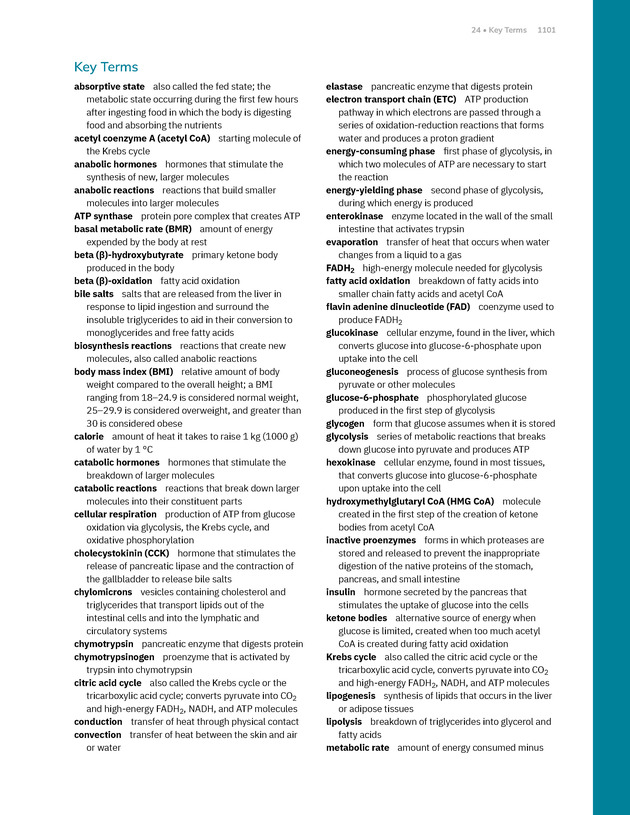 Anatomy and Physiology 2e - New Page