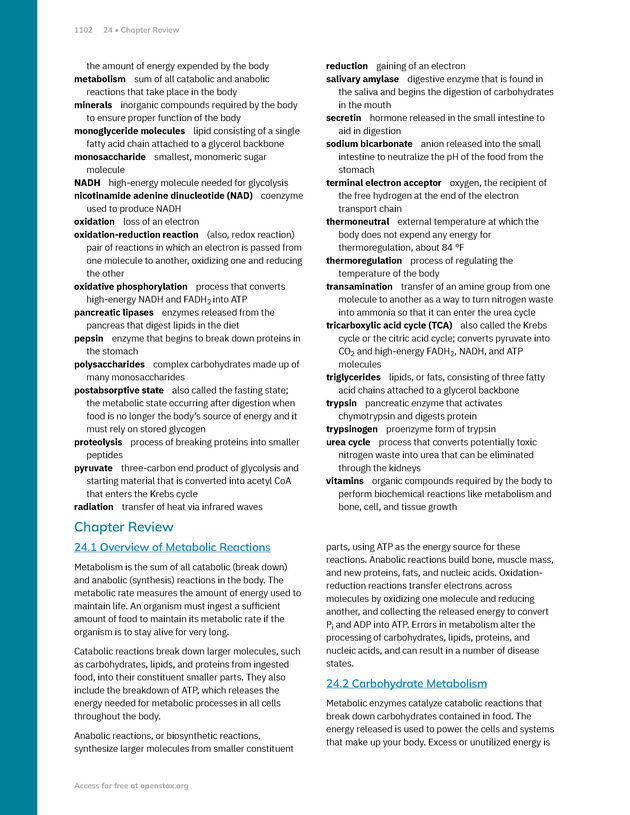 Anatomy and Physiology 2e - New Page