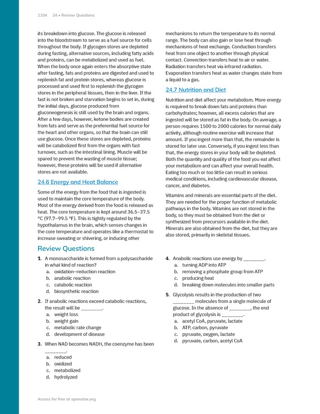 Anatomy and Physiology 2e - New Page