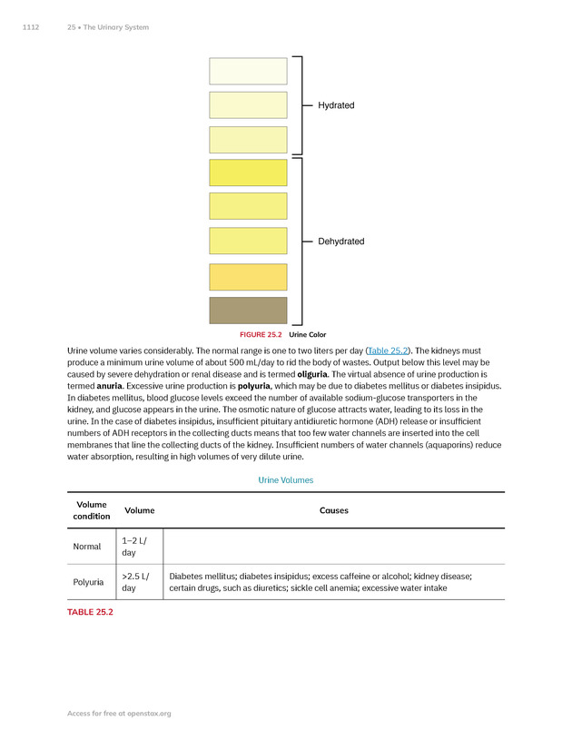 Anatomy and Physiology 2e - New Page