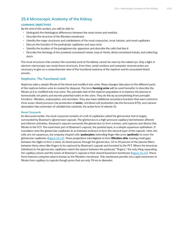 Anatomy and Physiology 2e - New Page
