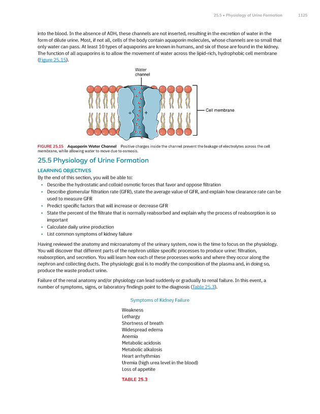 Anatomy and Physiology 2e - New Page