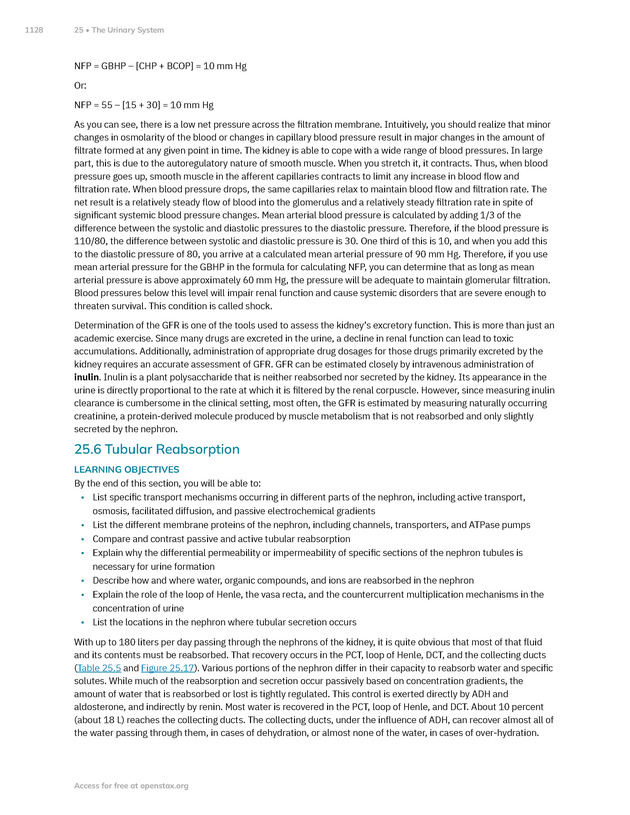 Anatomy and Physiology 2e - New Page