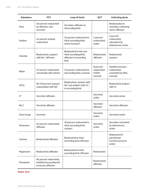 Anatomy and Physiology 2e - New Page